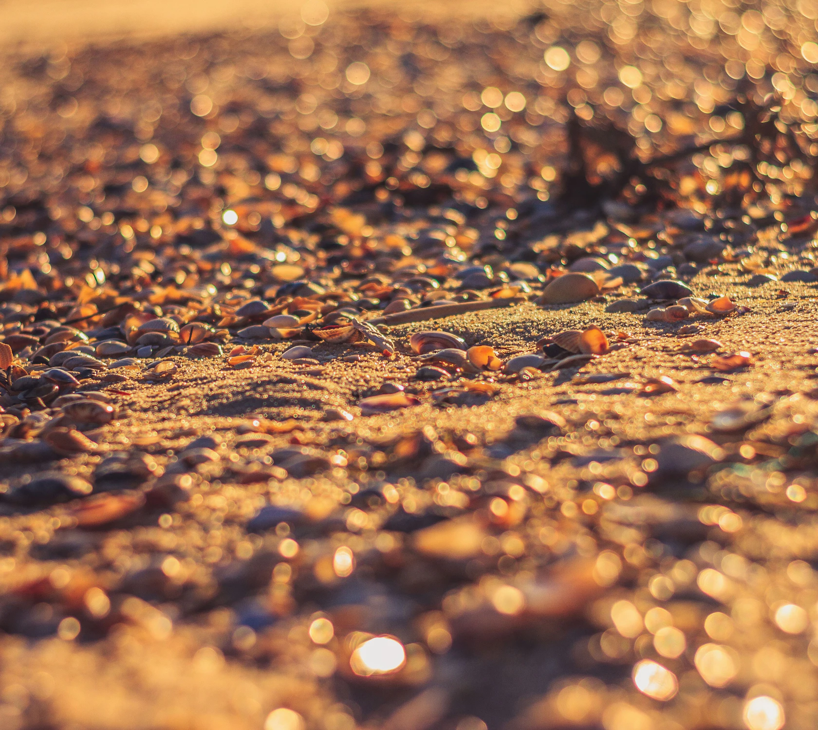 PortugalAlgarveStrand