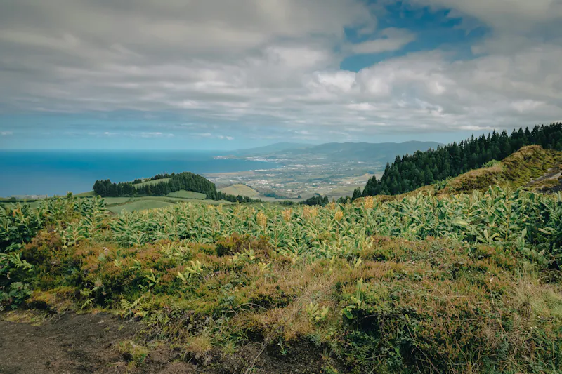HDPortugalSao MiguelAussicht
