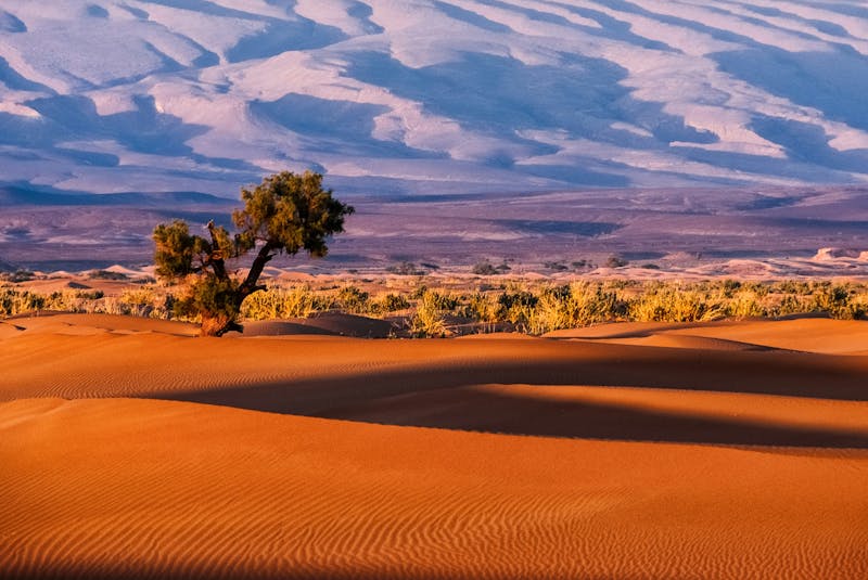 HDNamibiaKalahariDesert4