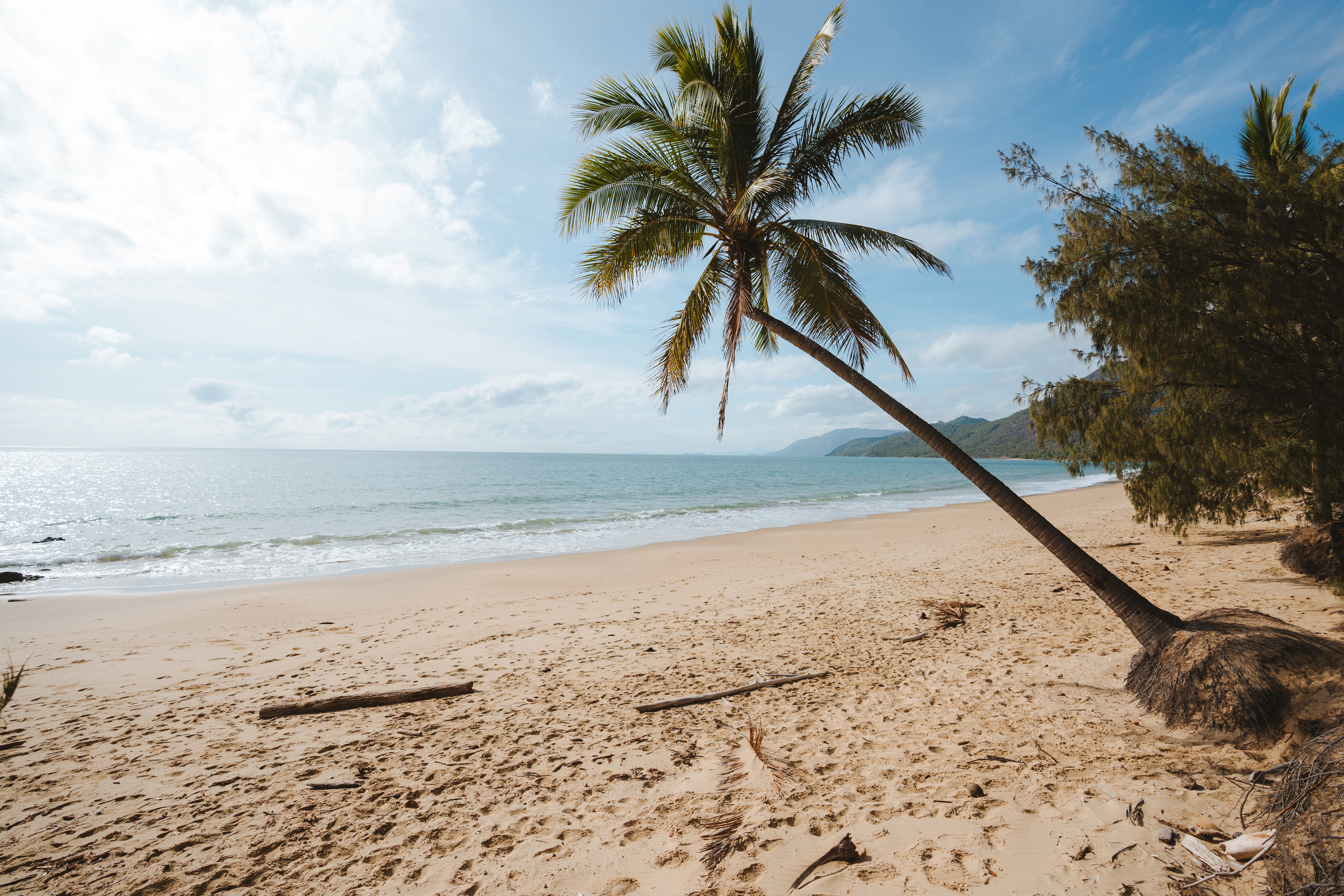 HDAustralienQLD140540 2019 TNQ ThalaBeach 263 TA 56