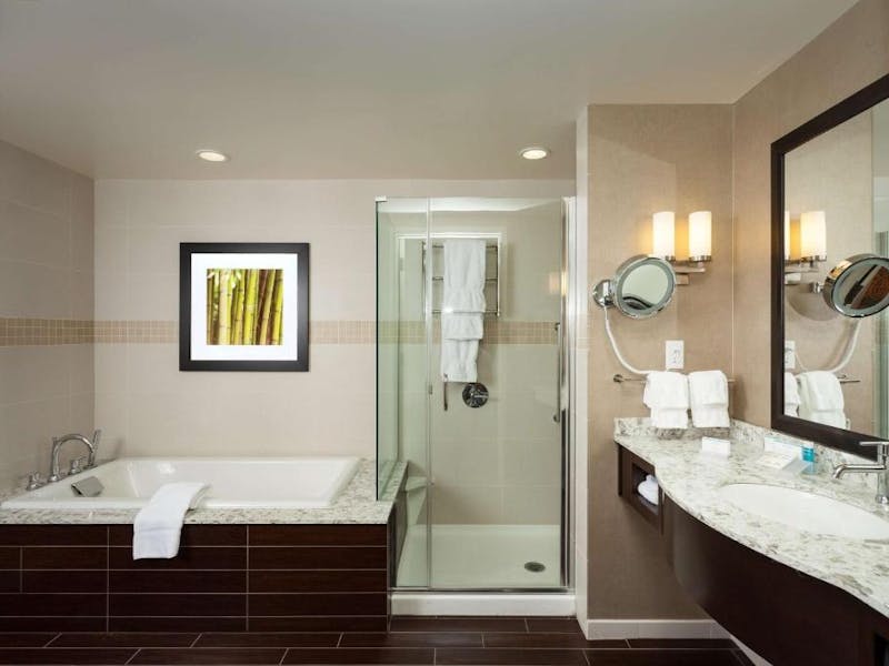 HDHotelWashingtonSeattleHilton Garden Inn Seattle DowntownBad