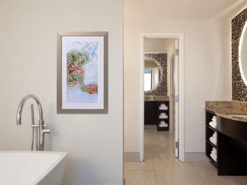 HDHotelTexasAustinHilton Garden Inn Austin DowntownBad