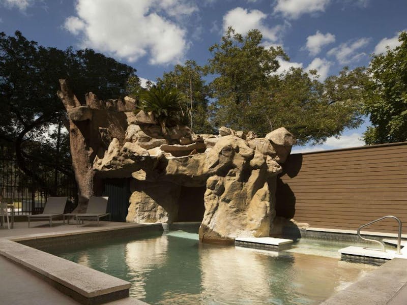 HDHotelTexasAustinHilton Garden Inn Austin DowntownPool