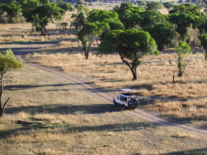 HDTansaniaArushaSafari