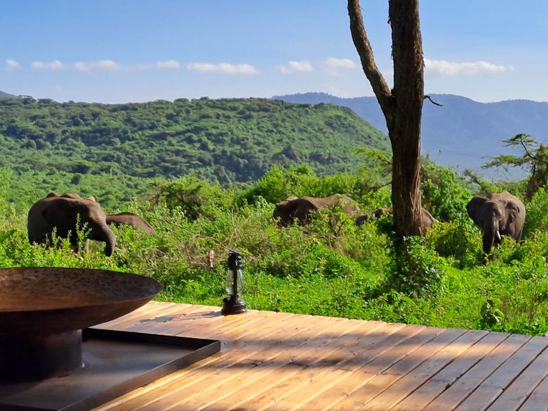 HDHotelTansaniaWilderness Collection Craters EdgeView Elefanten