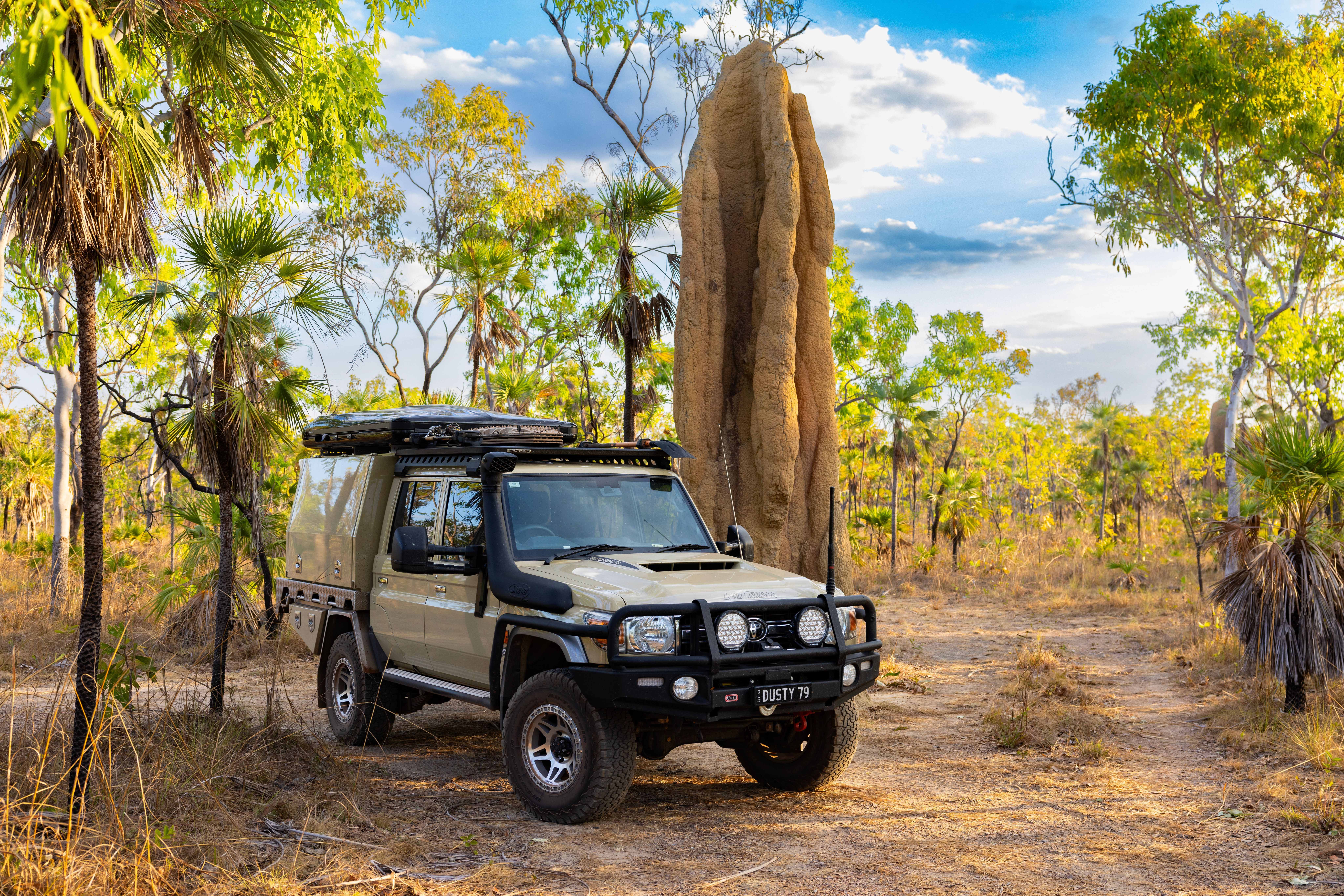 HDAustralienNTLitchfieldTermite Mound 140938 35