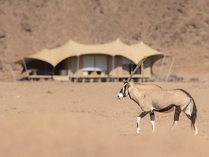 HDHotelNamibiaWilderness Hoanib Skeleton Coast CampZelt