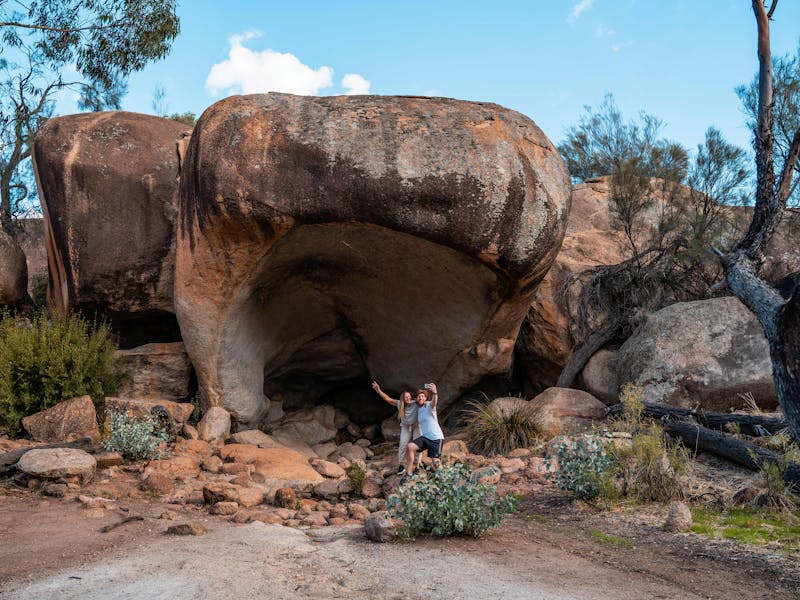 HDAustralienWASouth WestHyden Hippos Yawn 124589 56