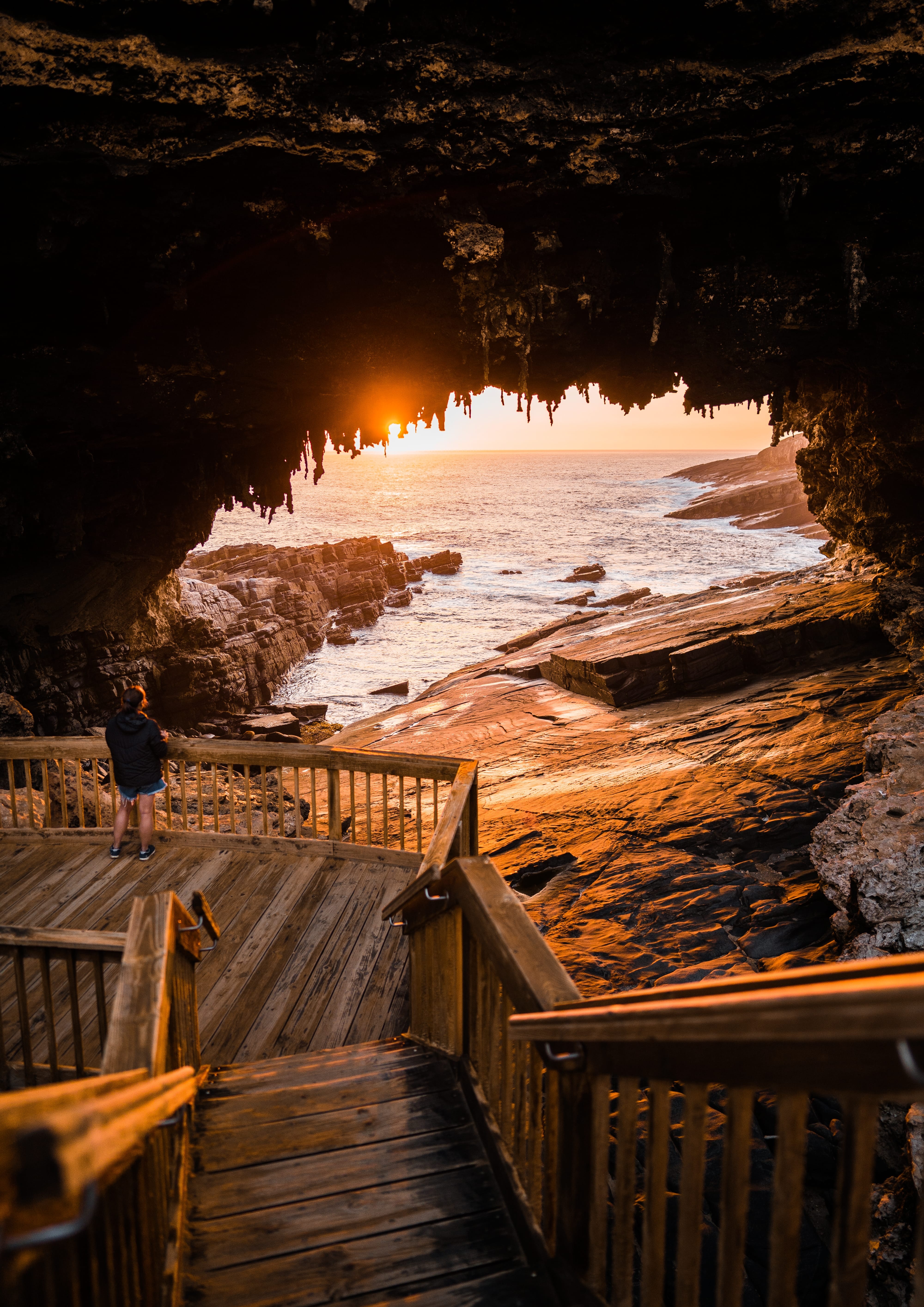 HDAustralienSAKangaroo IslandFlinders Chase NP 259517 167