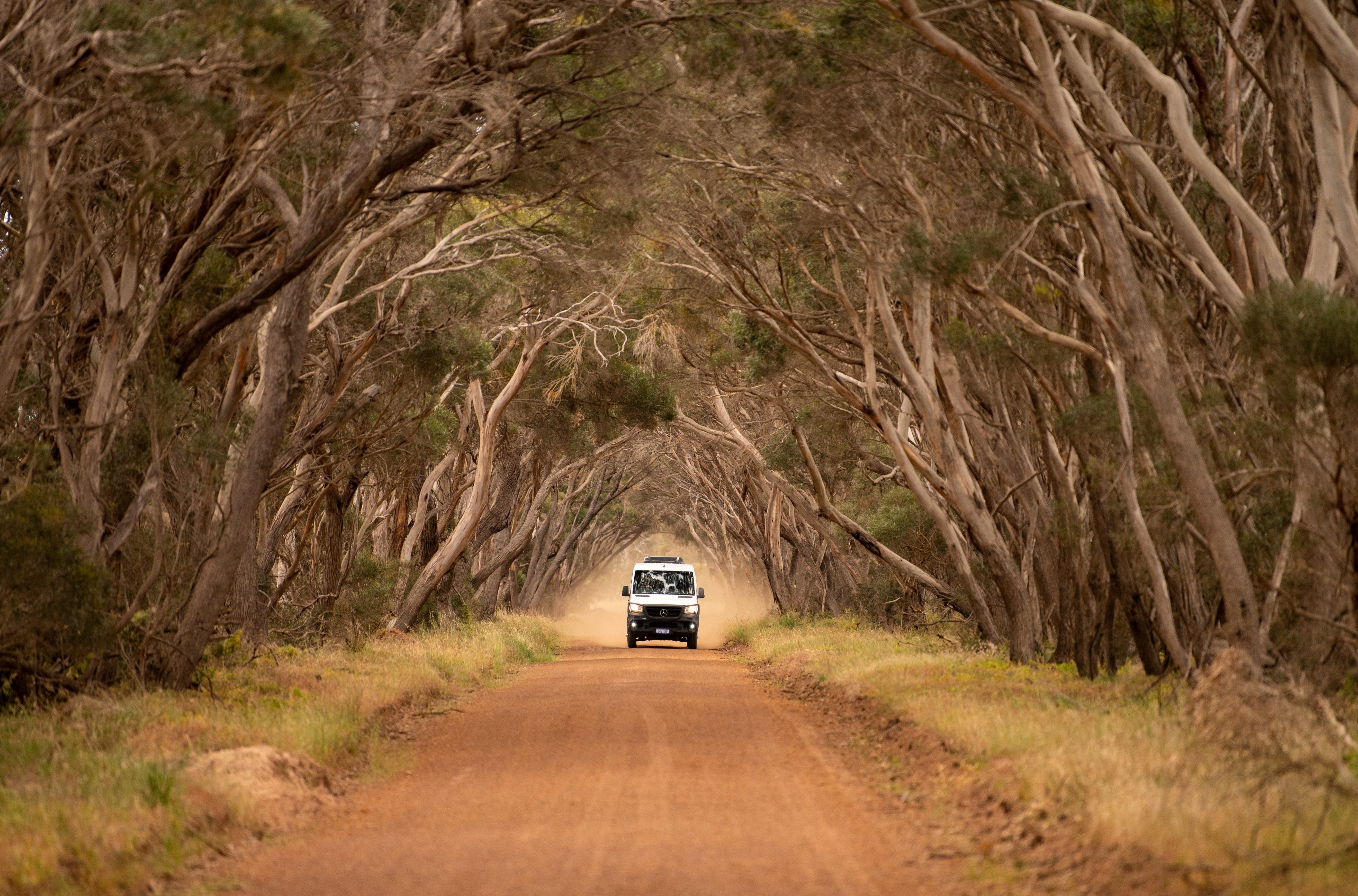 HDAustralienSAKangaroo IslandPlayford Hwy Cygnet River 263806 167