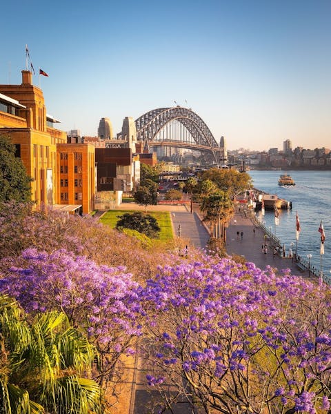 AustralienNew South WalesSydneyHarbour The Rocks First Fleet Park 163251 2