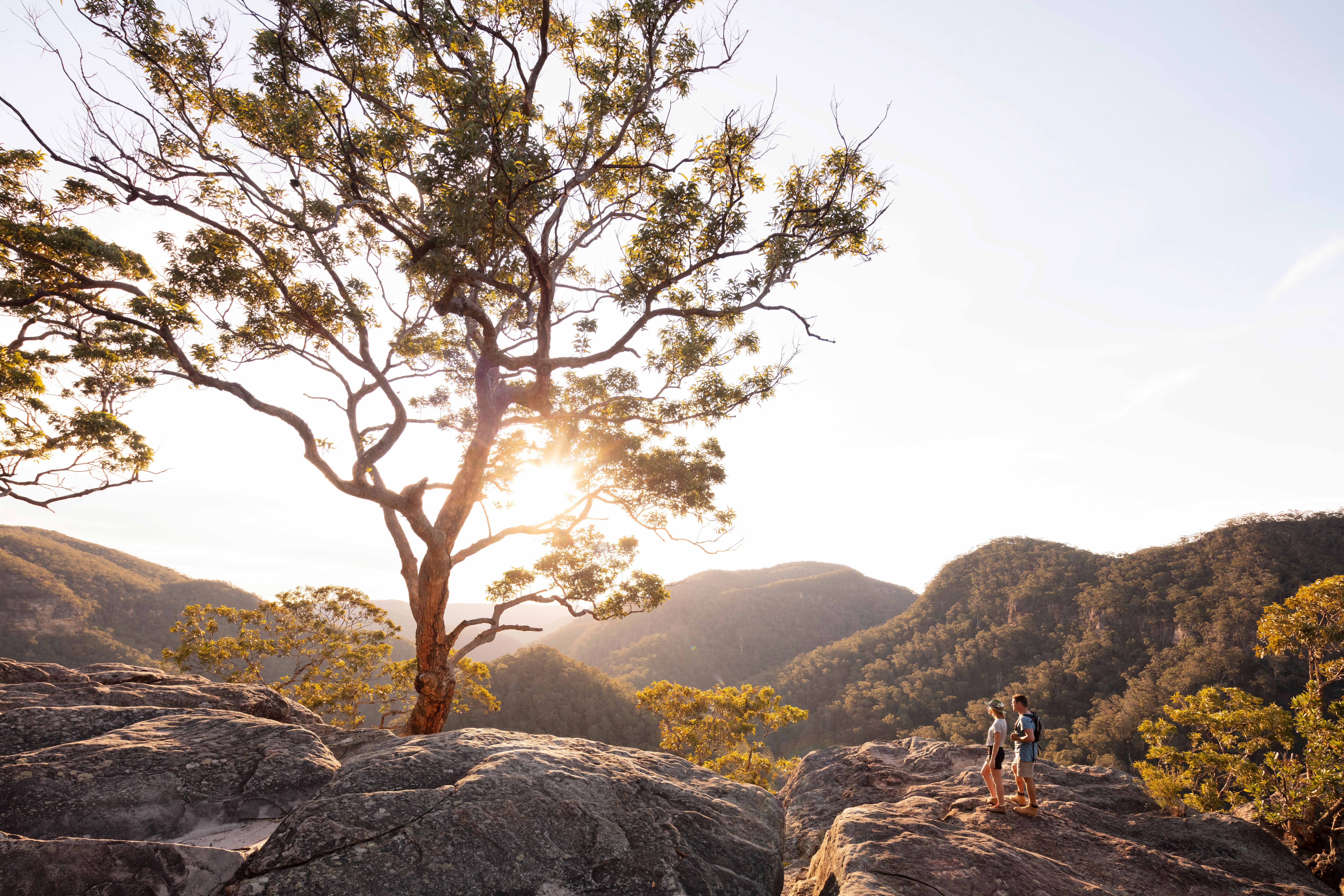 HDAustralienNSWBlue MountainsVale of Avoca Lookout 164964 2