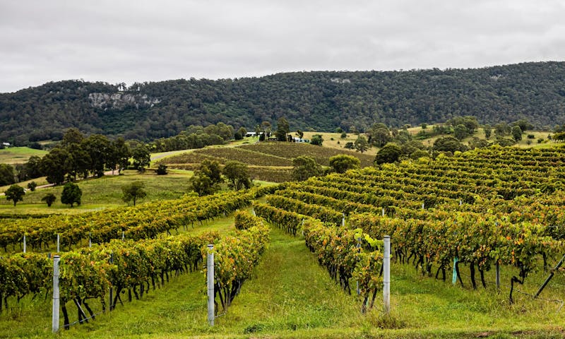 HDAustralienNSWHunter ValleyCountryside 180256 2