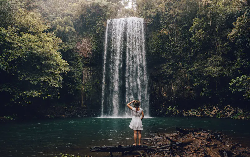 HDAustralienQLDAtherton TablelandsMillaa Millaa Falls 137698