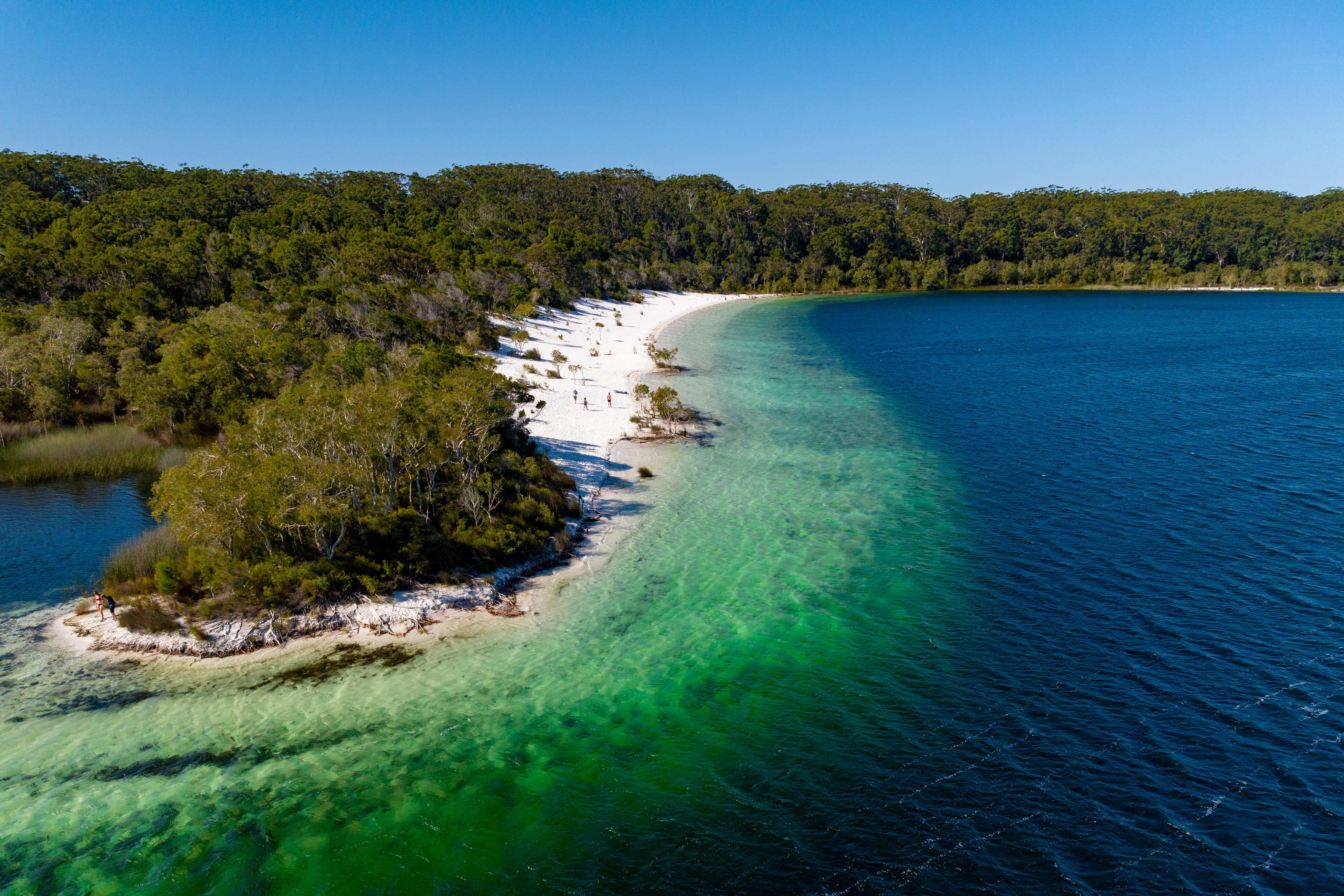 HDAustralienQLDFraser IslandLake McKenzie 153647