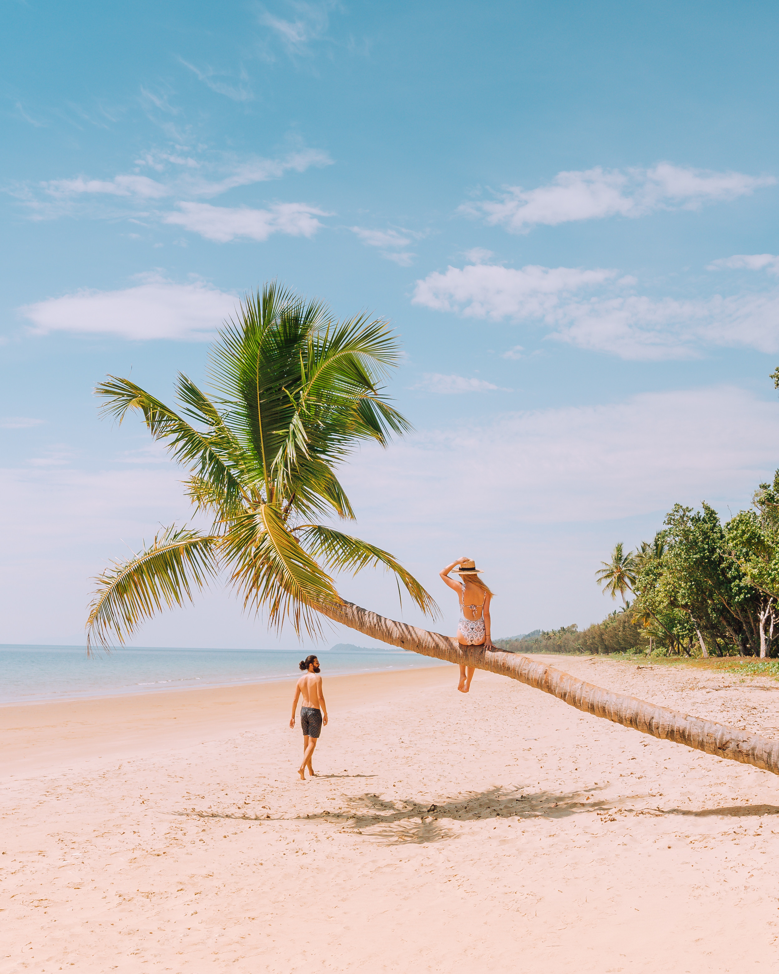 HDAustralienQLDMission BeachPalmenstrand 138565