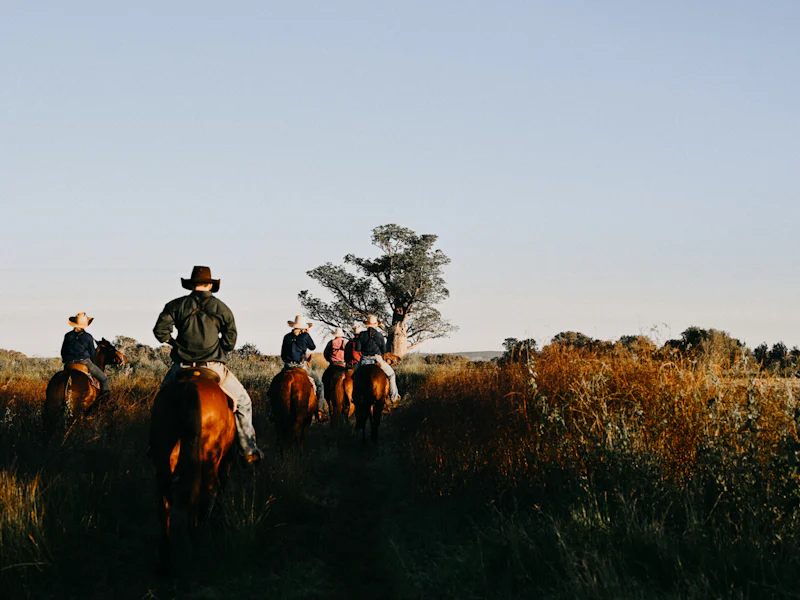 HDHotelAustralienNTBullo River StationWagyu Muster GAV 9118