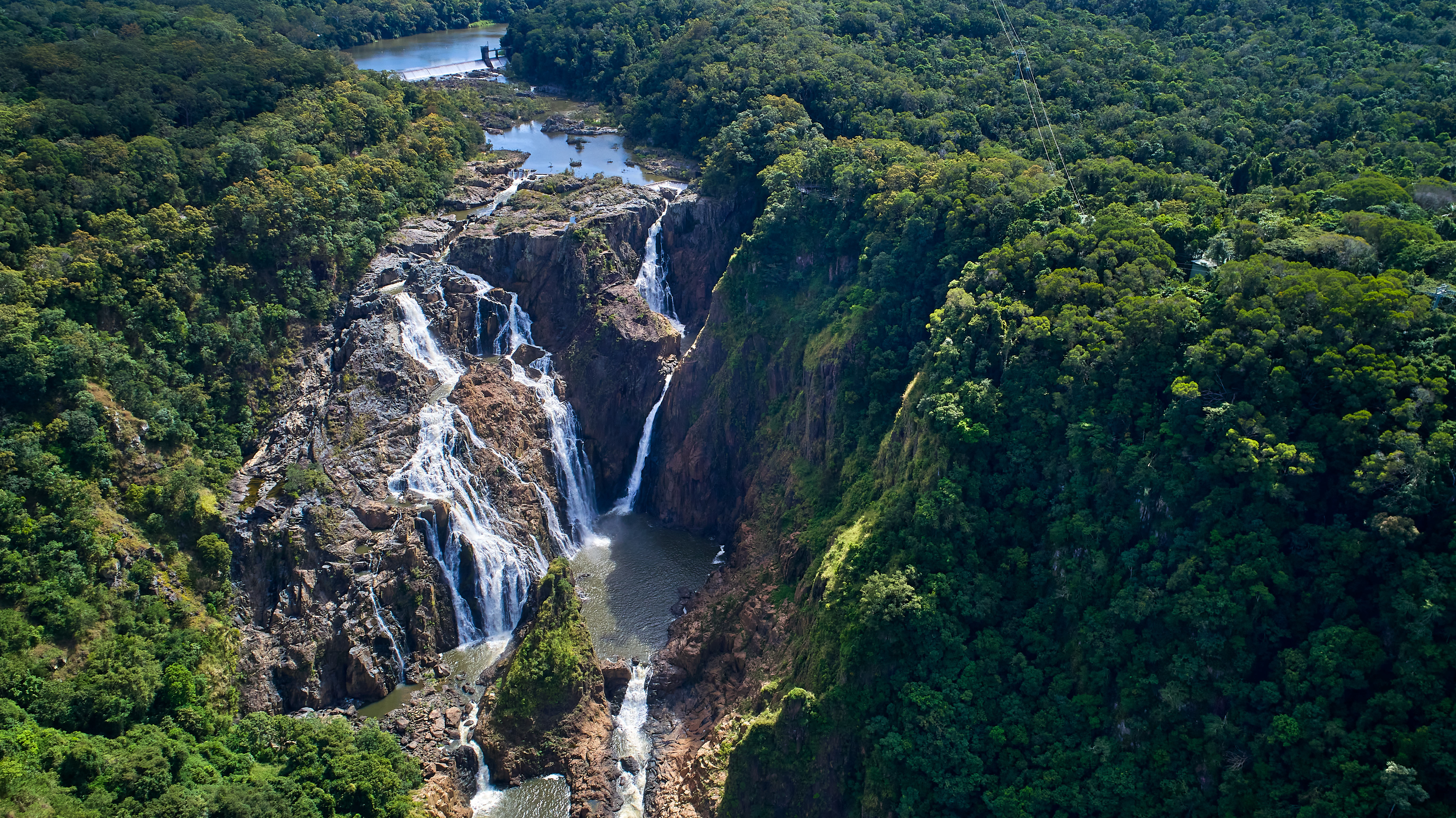 HDAustralienQLDKurandaSkyrail Rainforest 146943