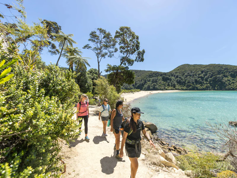 HDNeuseelandAbel TasmanStrand Wanderer 235305