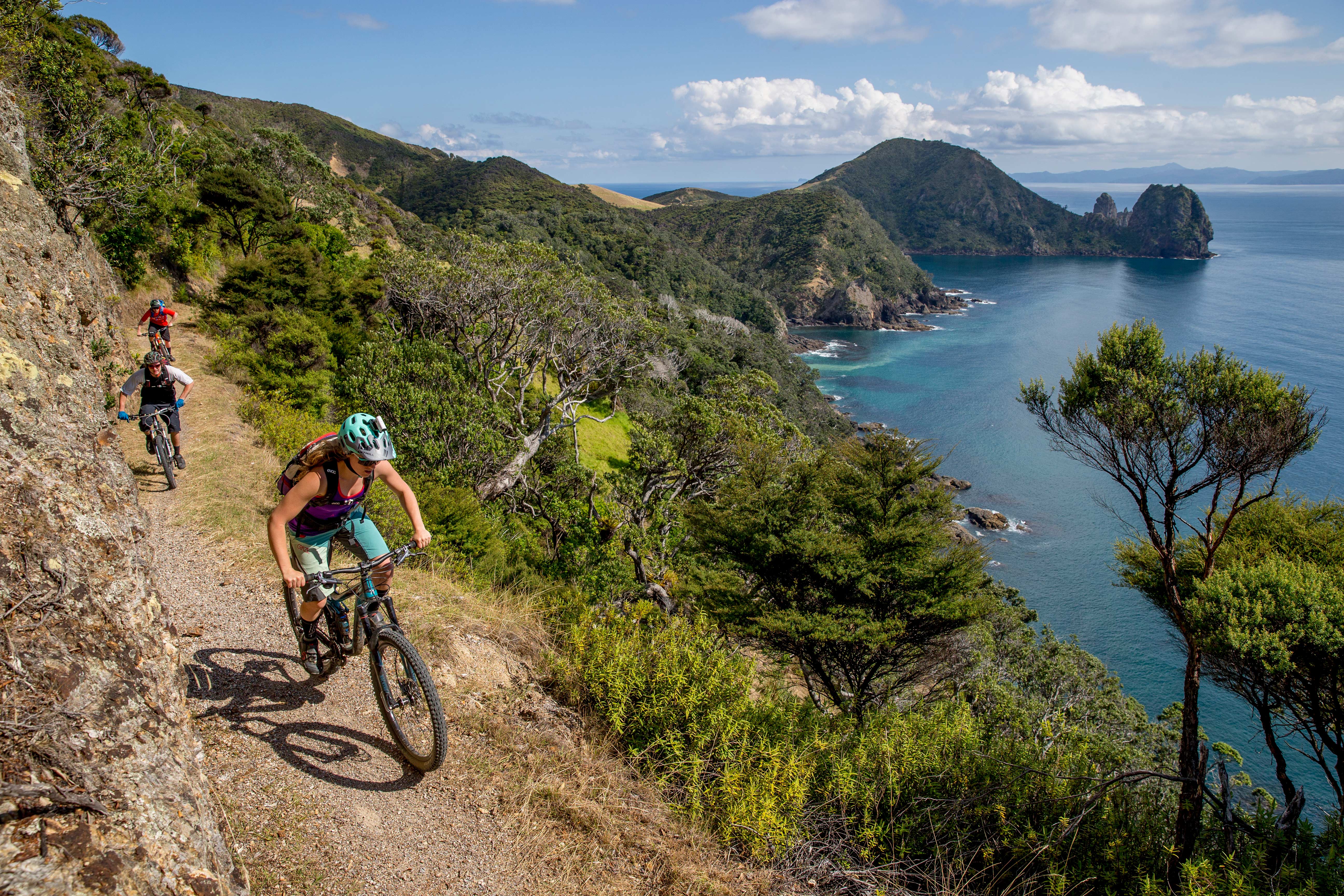 Fletcher Bay, Coromandel, Neuseeland