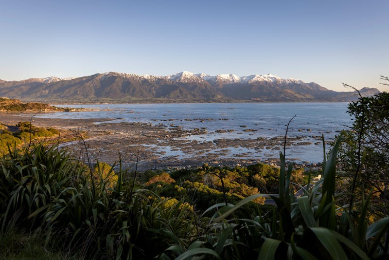 HDNeuseelandKaikouraKueste 516653