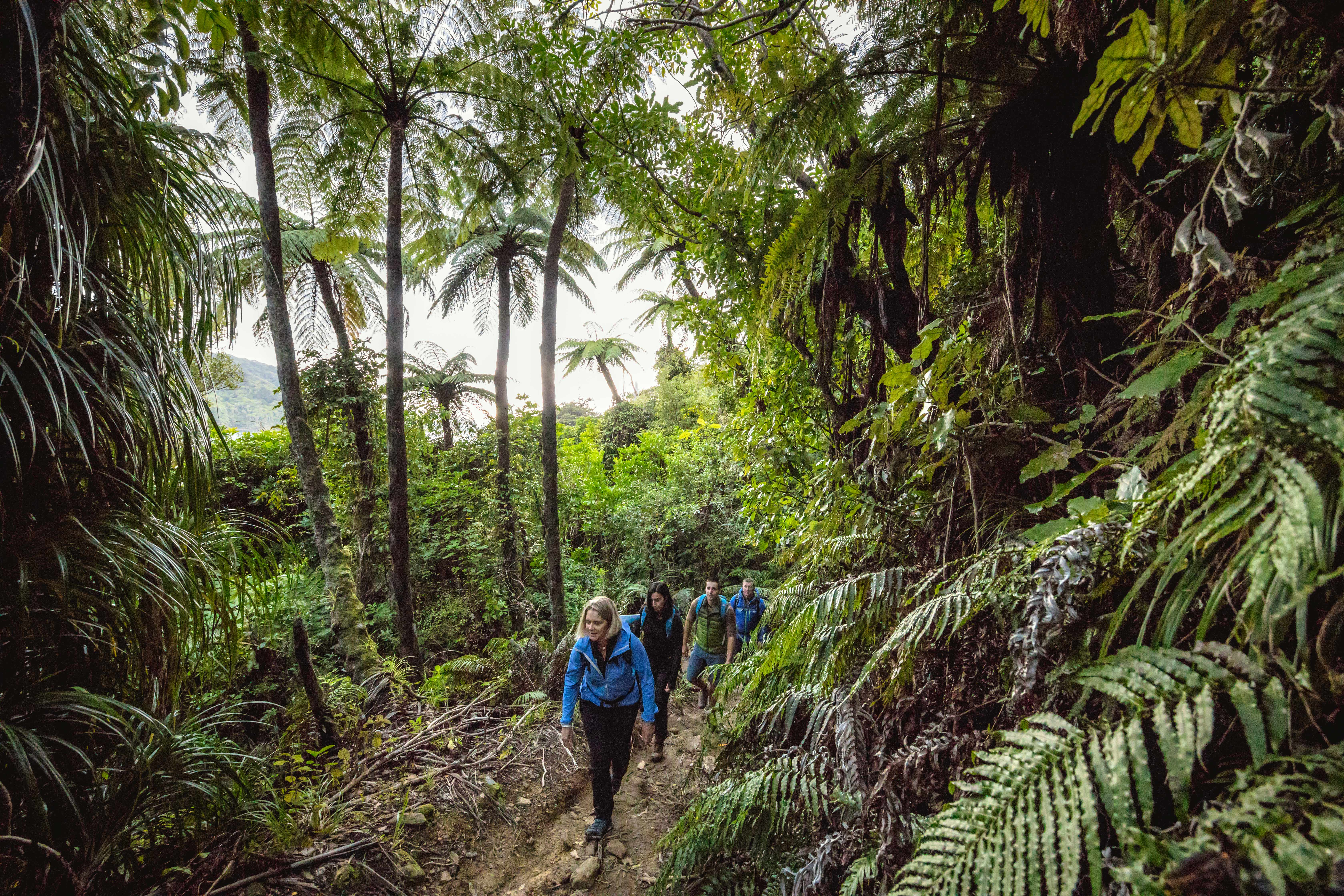 HDNeuseelandMarlboroughQueen Charlotte Track 233268
