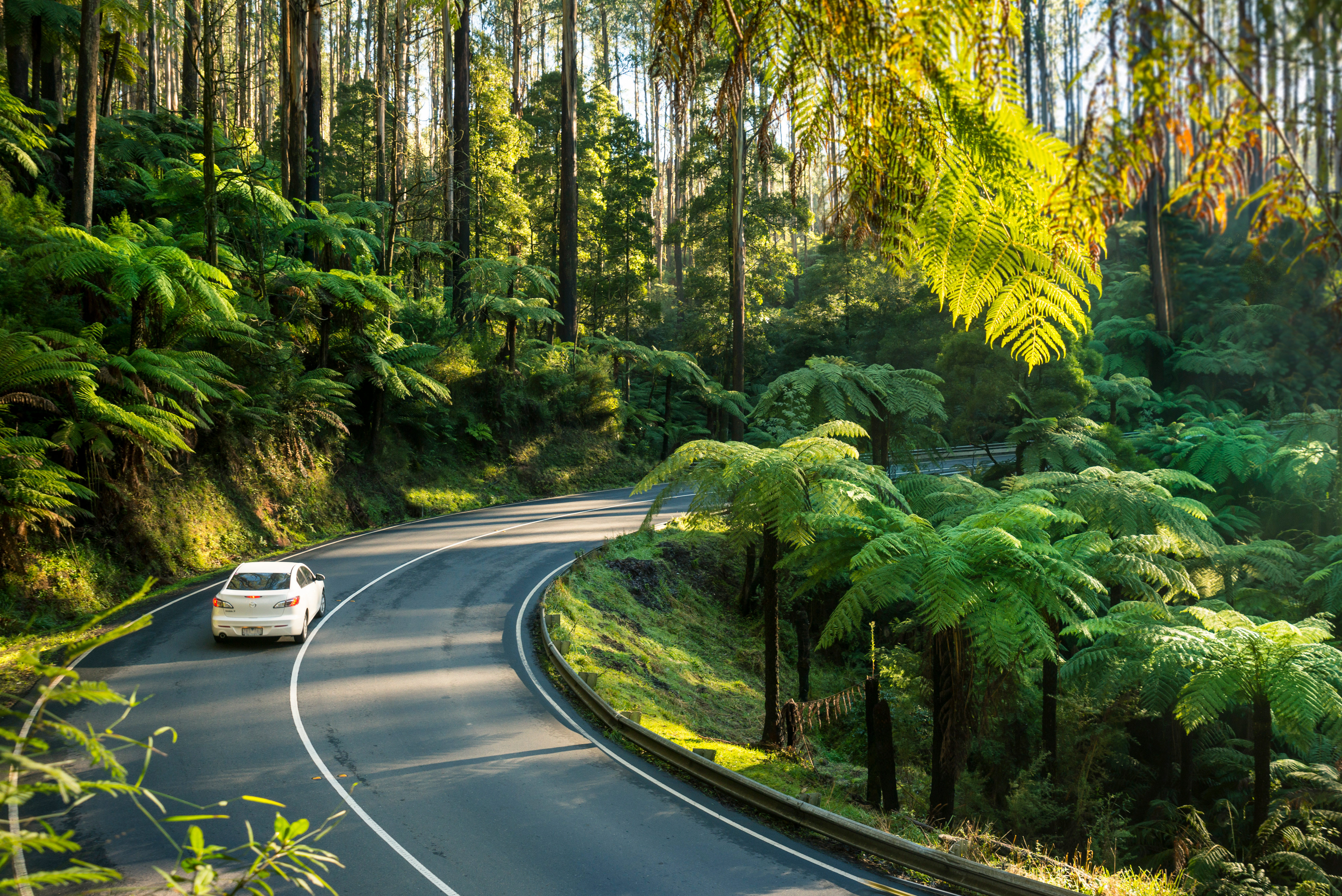 Black Spur Drive, Yarra Valley