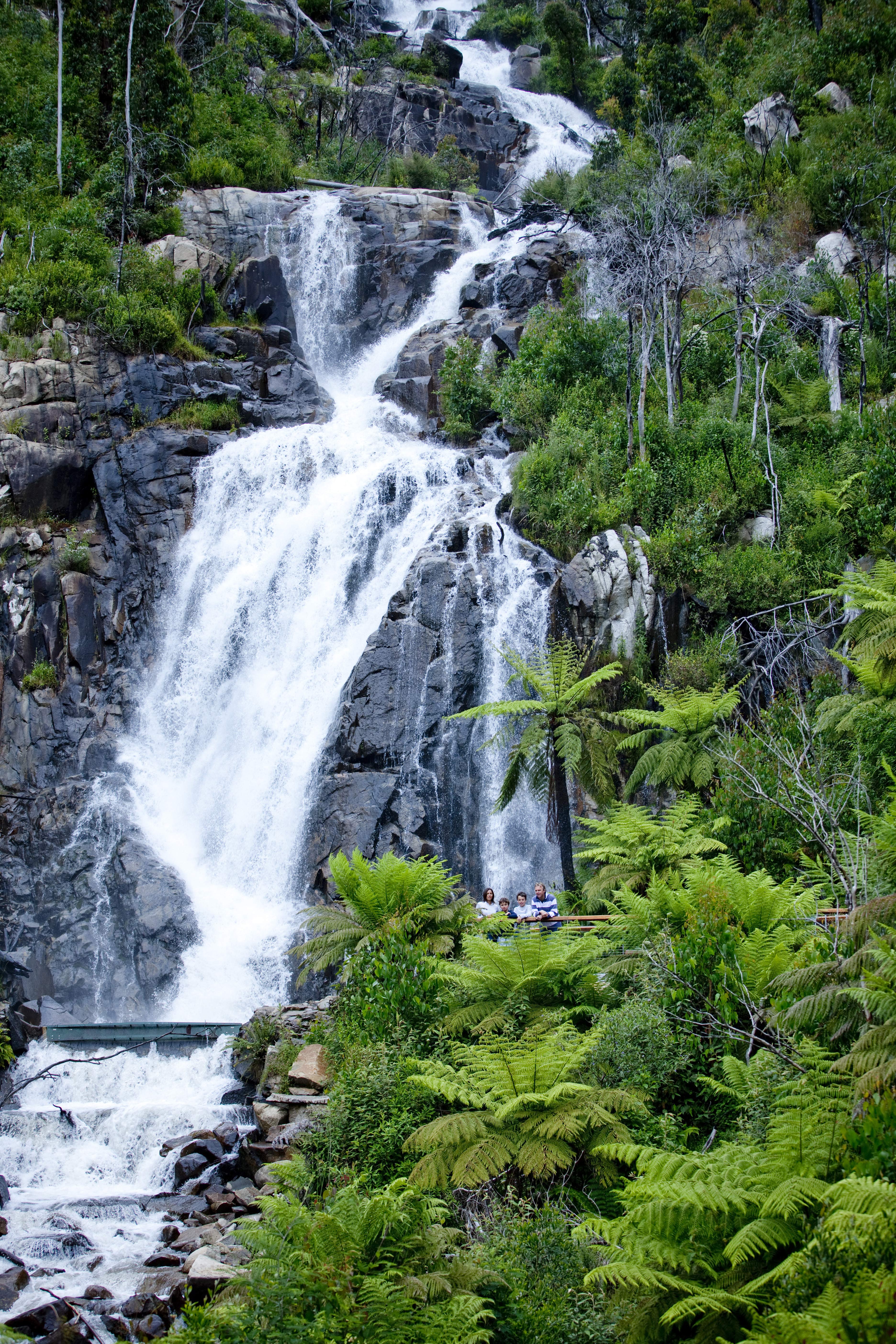 HDAustralienVICYarra ValleyMarysville Steavenson Falls 129306