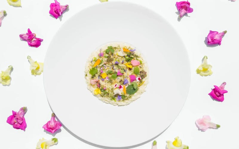 HDHotelItalienLe Fontanelle EstateEssen