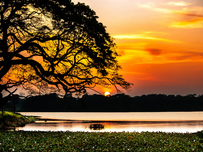 HDSri LankaWilpattu NationalparkSunset