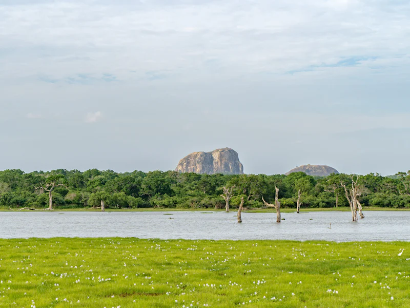 HDSri LankaYala NationalparkLandschaft2