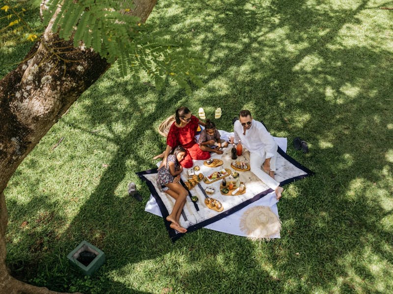 HotelSri LankaCinnamon Lodge HabaranaPicnic