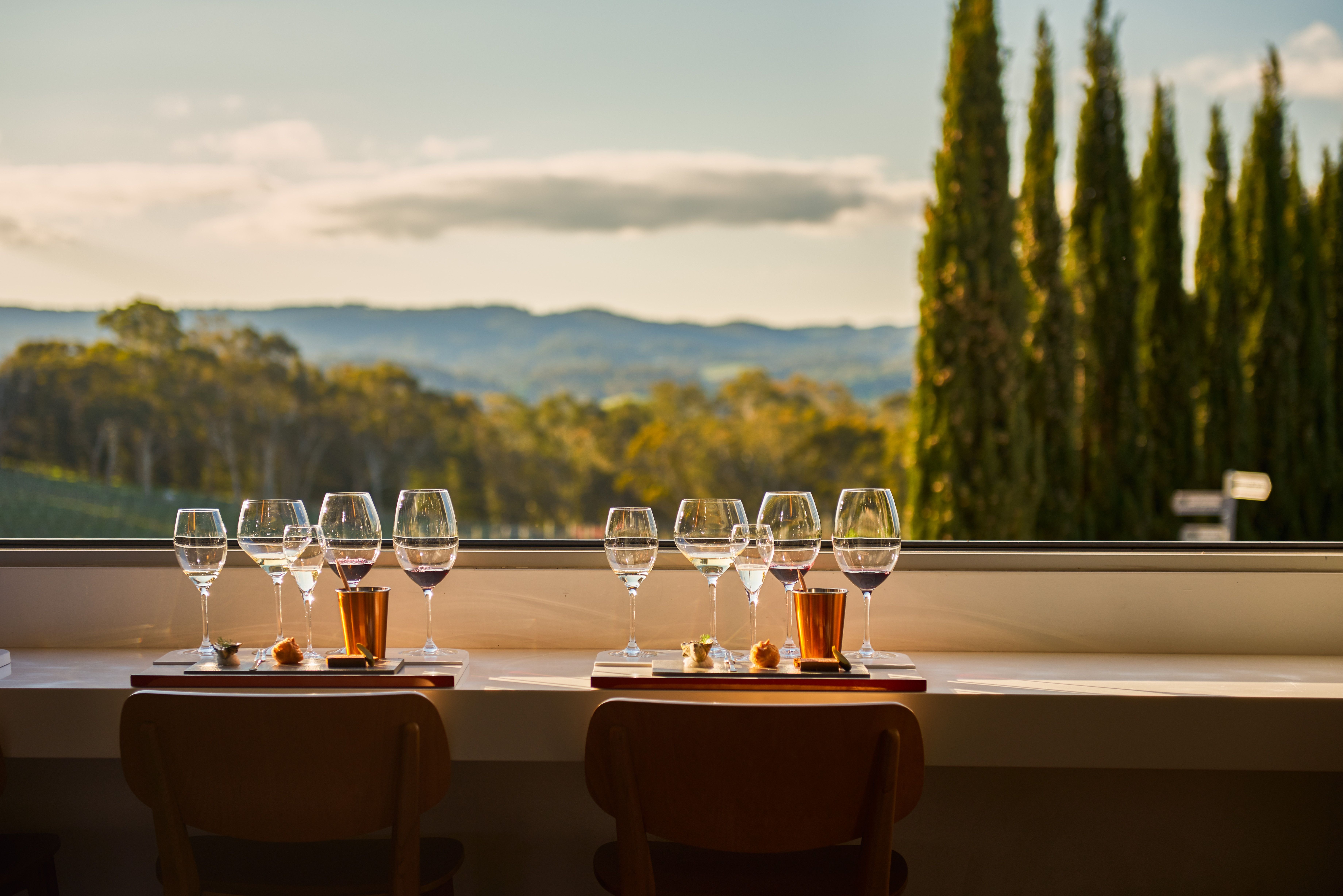 HDAustralienSABarossa ValleyHanhdorf Lane Vineyard 128390