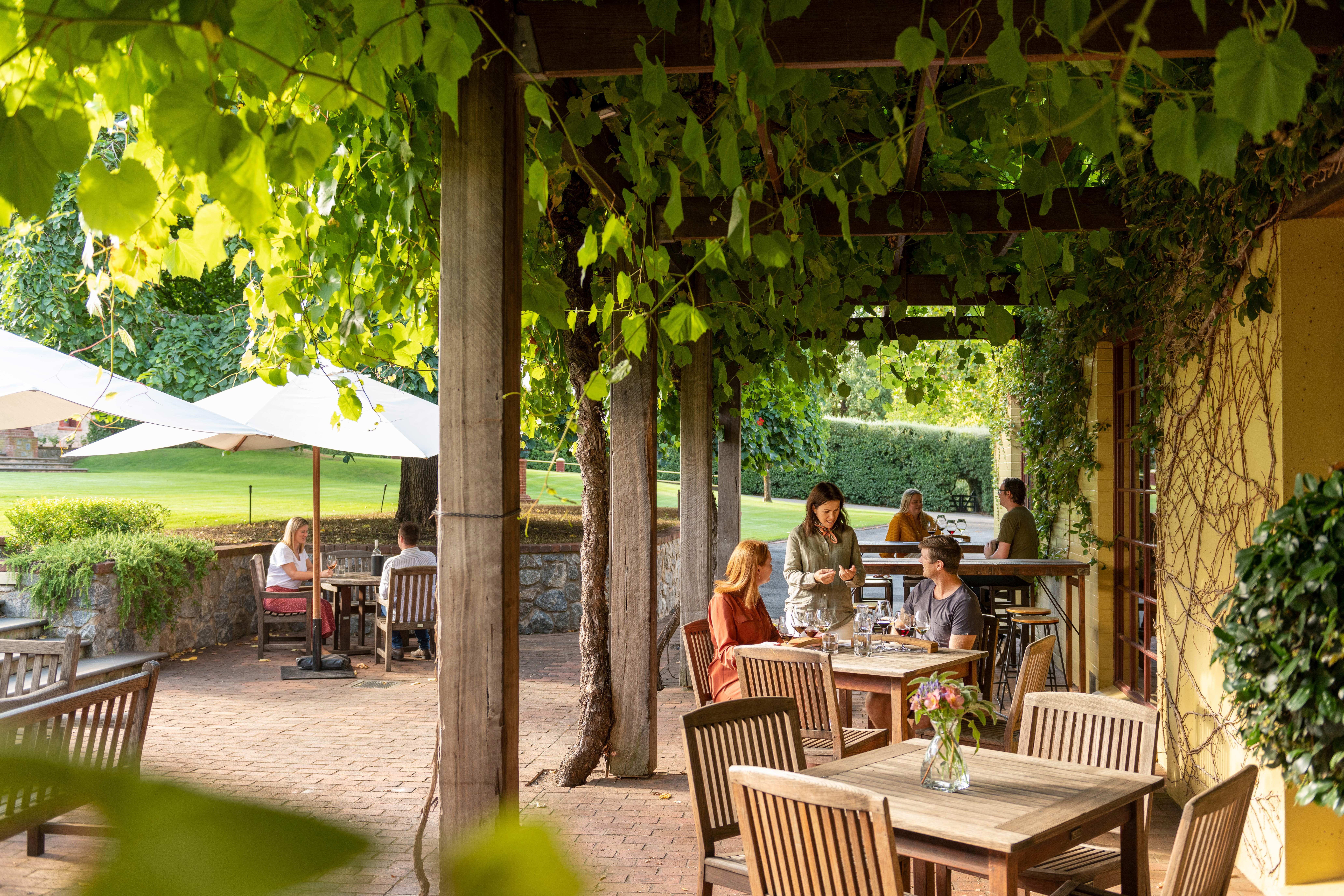 HDAustralienSABarossa ValleyYalumba 1067098