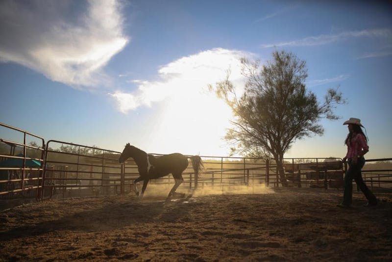 HotelArizonaTucsonTanque Verde Ranch aussen2