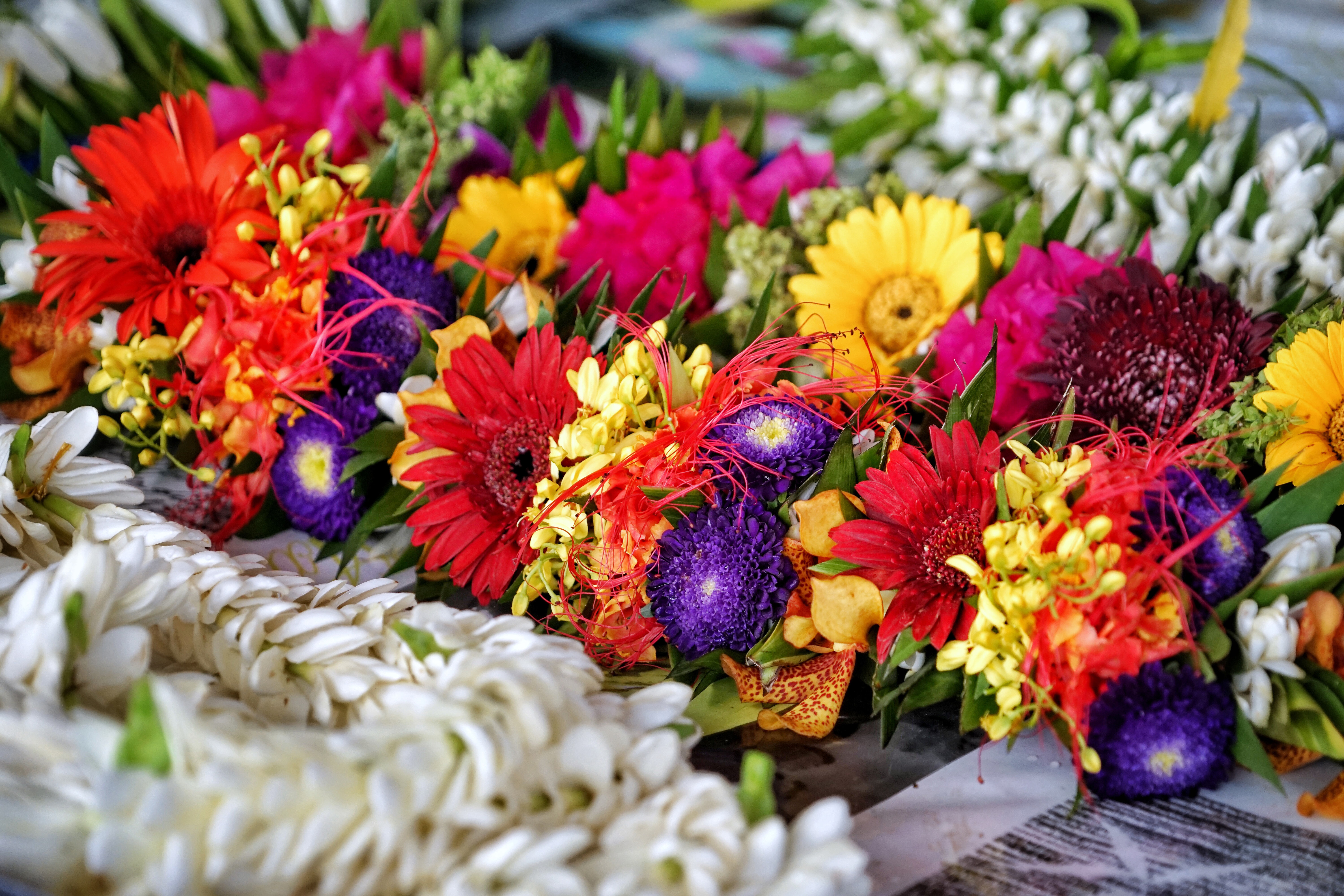 HDfranzoesisch polynesienTahitiBlumen P2 10 DSC07424 Lei Tao