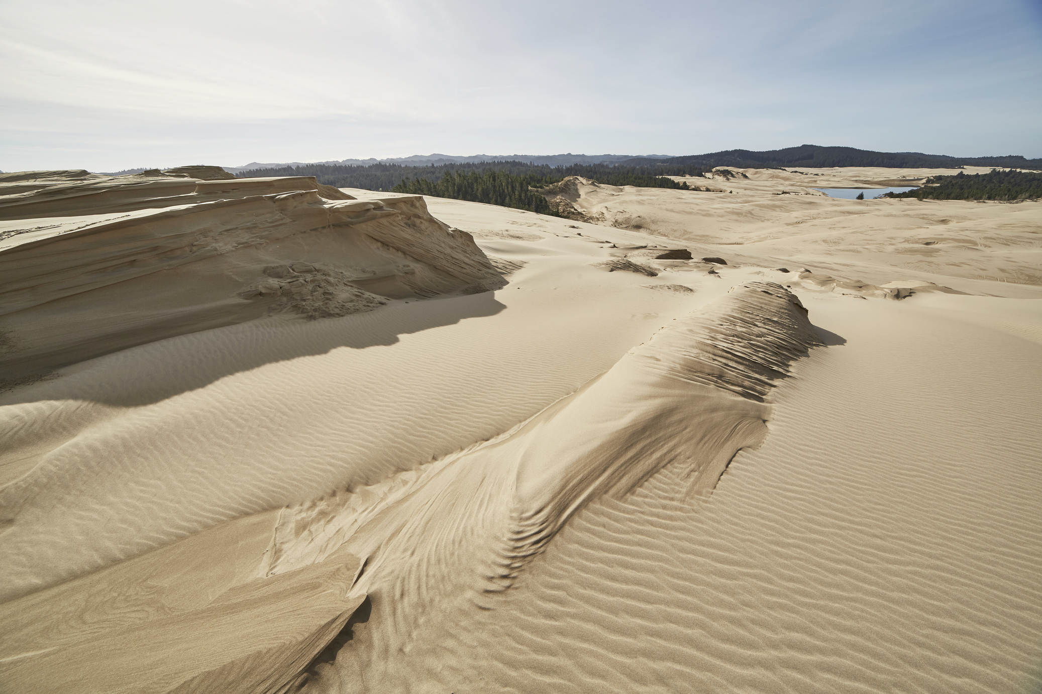 Oregon Dunes National Recreation Area