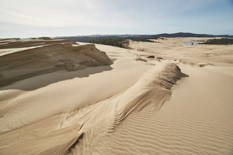 Oregon Dunes National Recreation Area