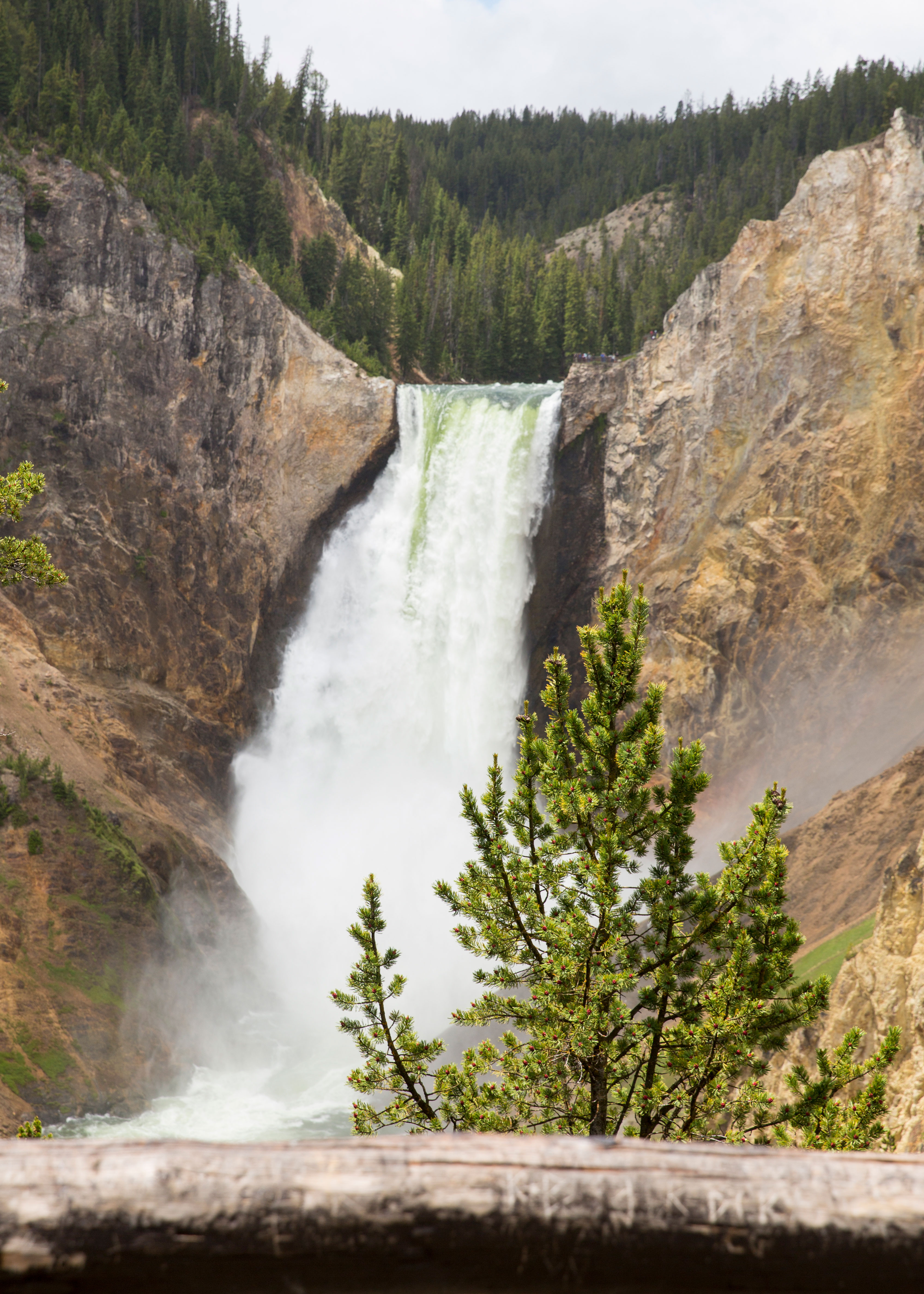 HDWyomingYellowstoneNationalPark5