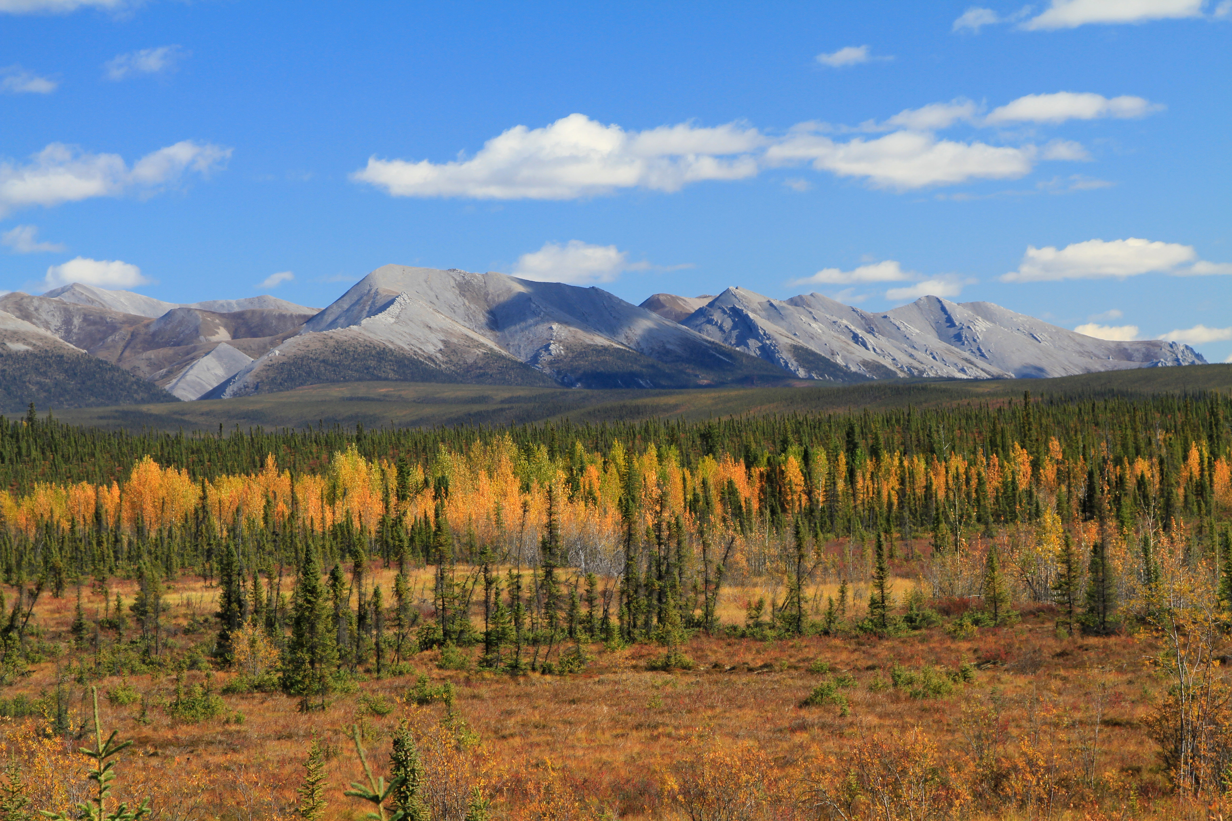 HDNorthwest TerritoriesDempster Highway 2014 GSigl 139