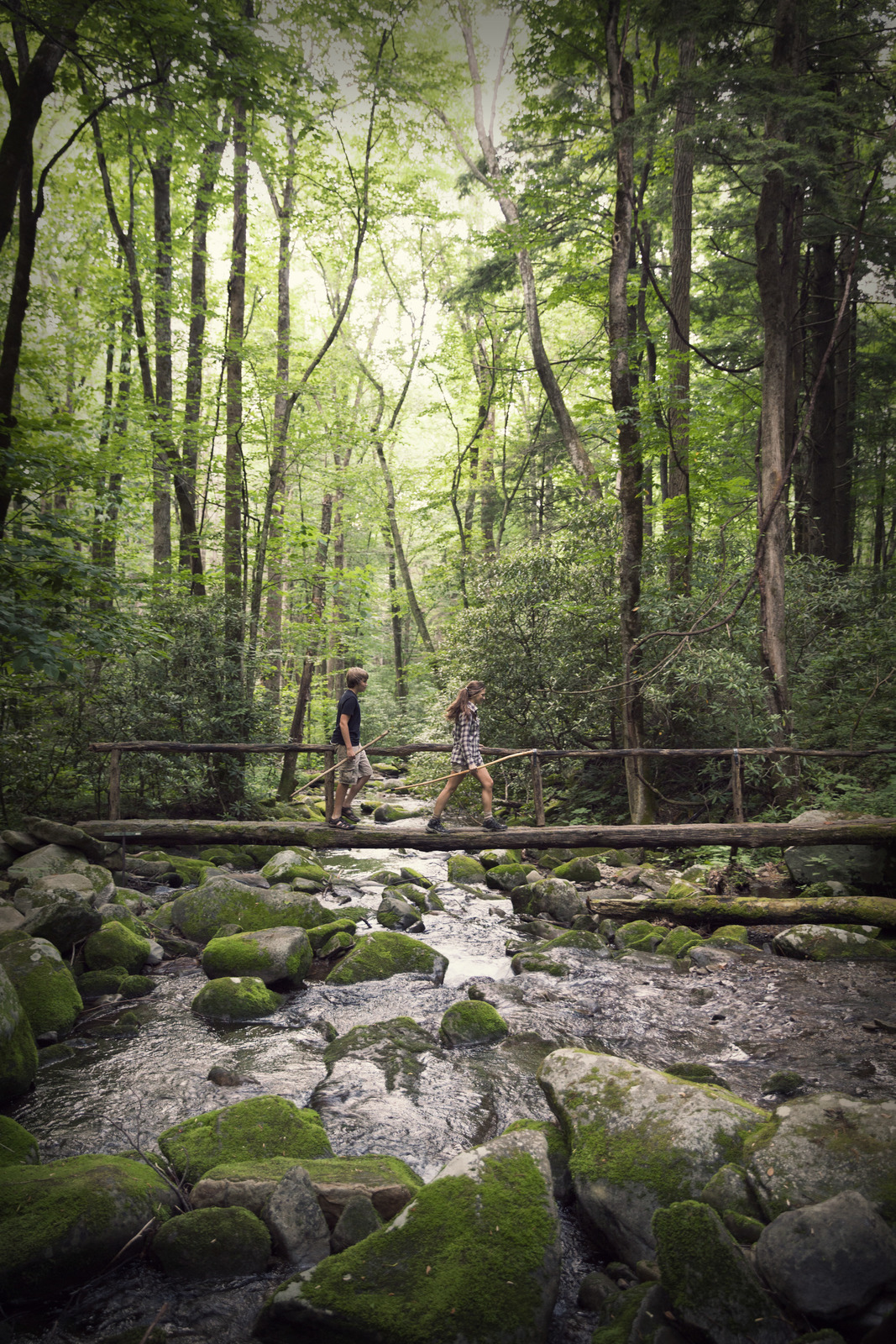 HDTennesseeGatlinburgGatlinburg SevierCo GreatSmokyMountainsNationalPark
