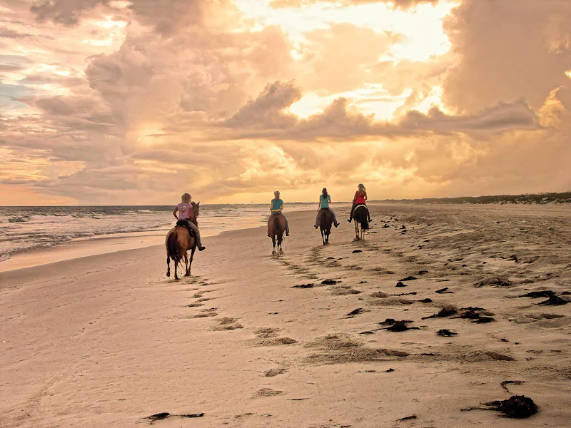 HDNorth CarolinaOuter BanksHorseback Riding Hatteras