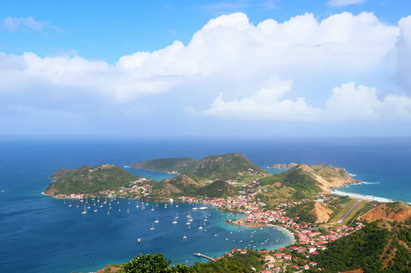 HDGuadeloupeChameau Terre de Haut