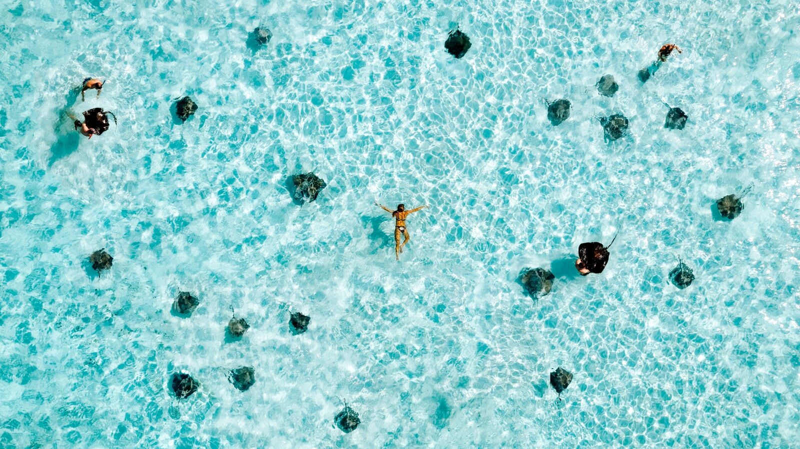 HDCayman IslandsGrand CaymanAerial Stingray City Photocredit Cayman Islands D