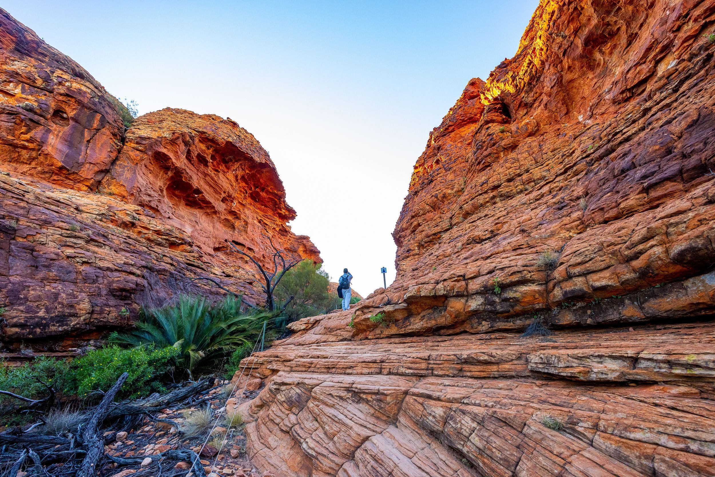 Kings Canyon, Northern Territory