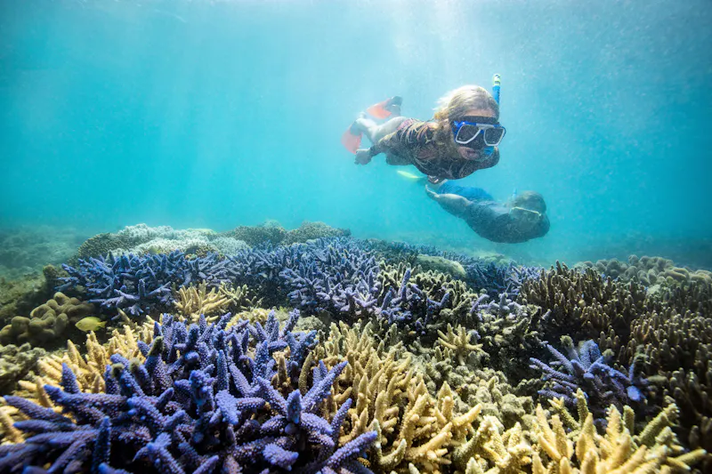 HDAustralienQLDGreat Barrier ReefSchnorcheln Whitsundays 150043 TEQ