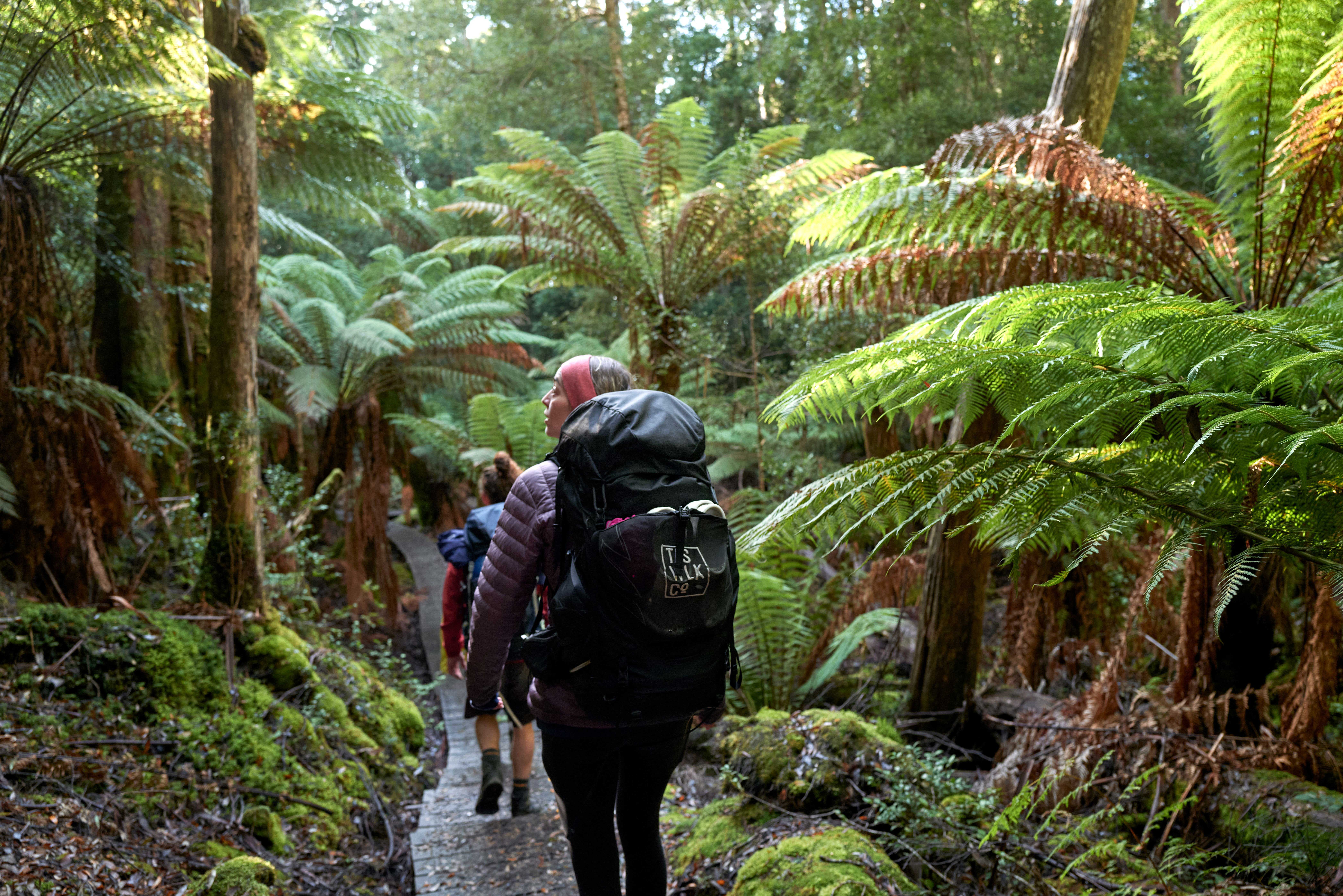 HDAustralienTASEast CoastThree Capes Walk Mt Fortescue 1099265 TAU