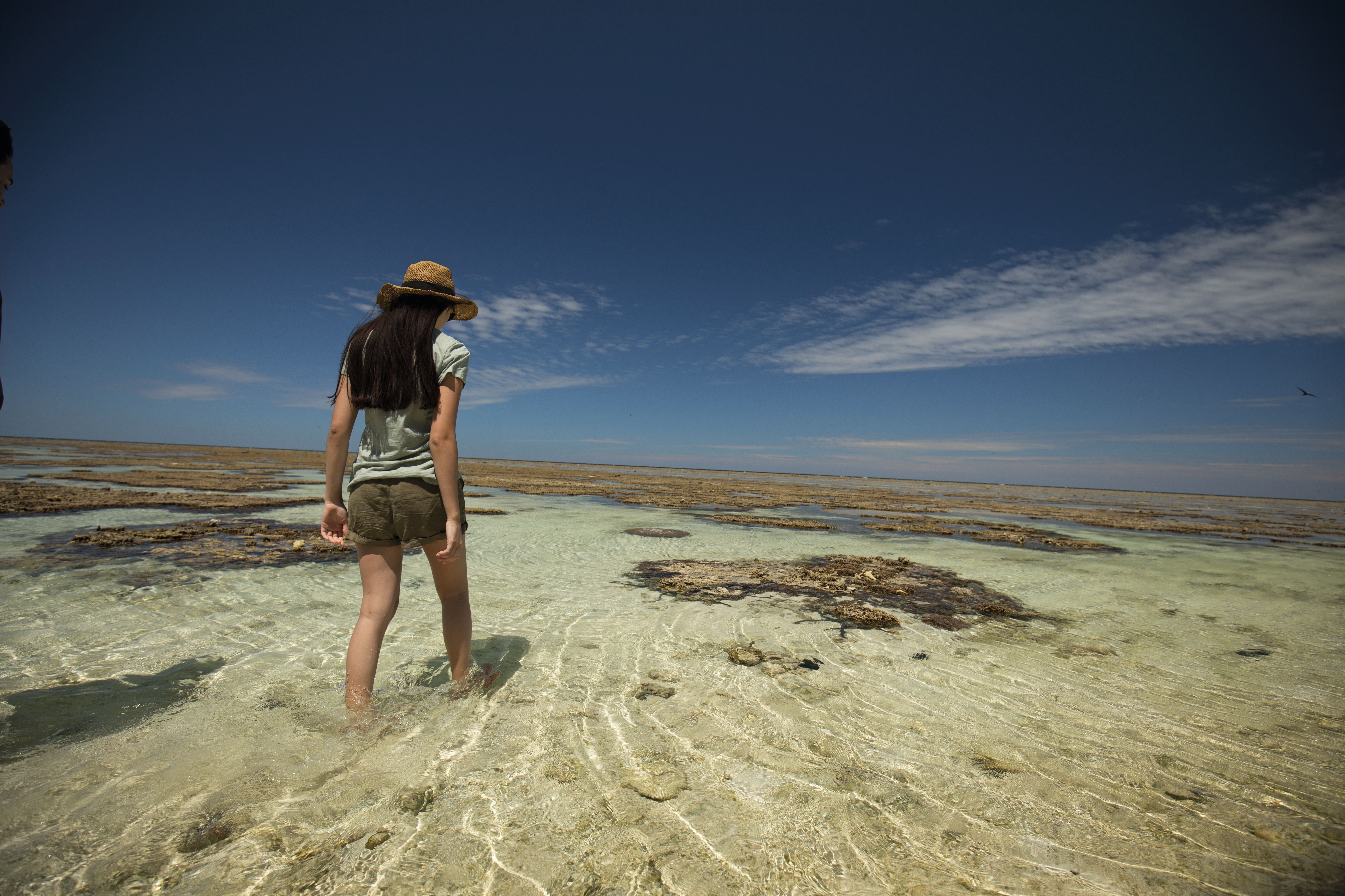 HDHotelAustralienQLDLady ElliotLady Elliot Island 135640