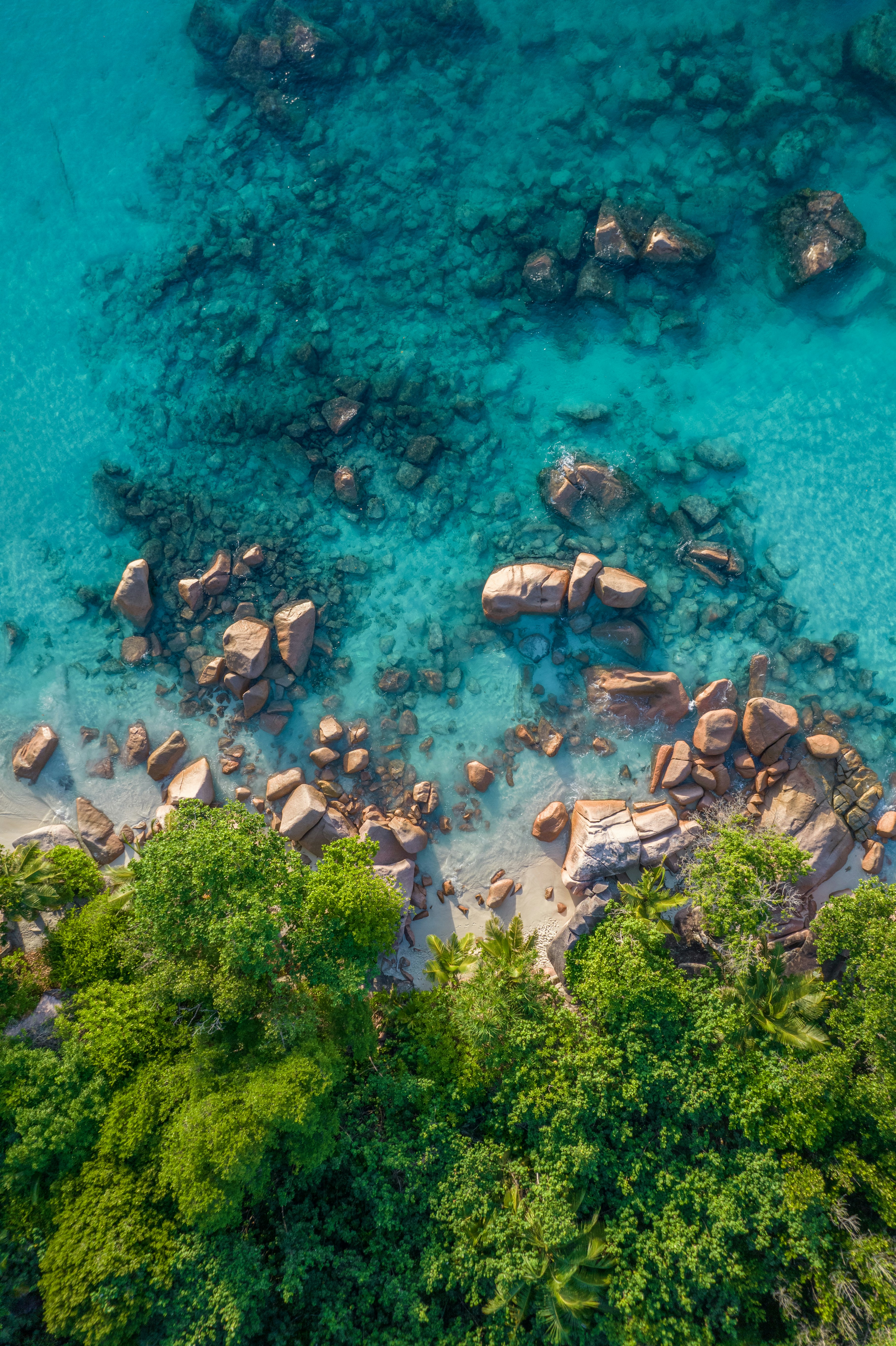 HDSeychellenKueste drone