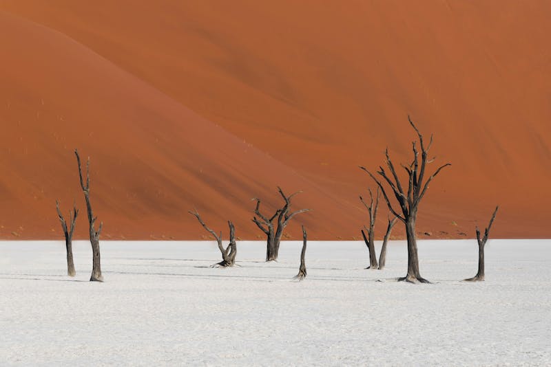 HDNamibiaDeadvlei Sossusvleibaume